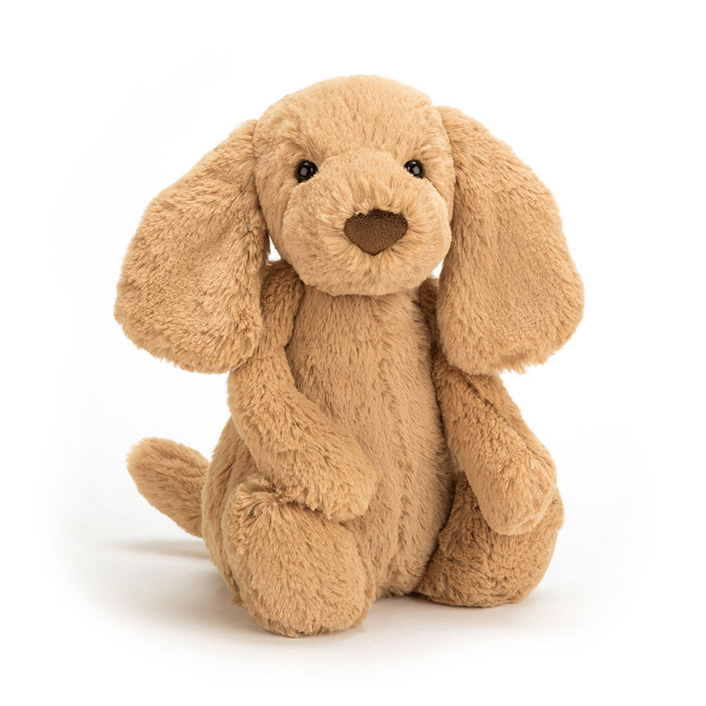 If I Were a Dog Board Book & Bashful Toffee Puppy Medium