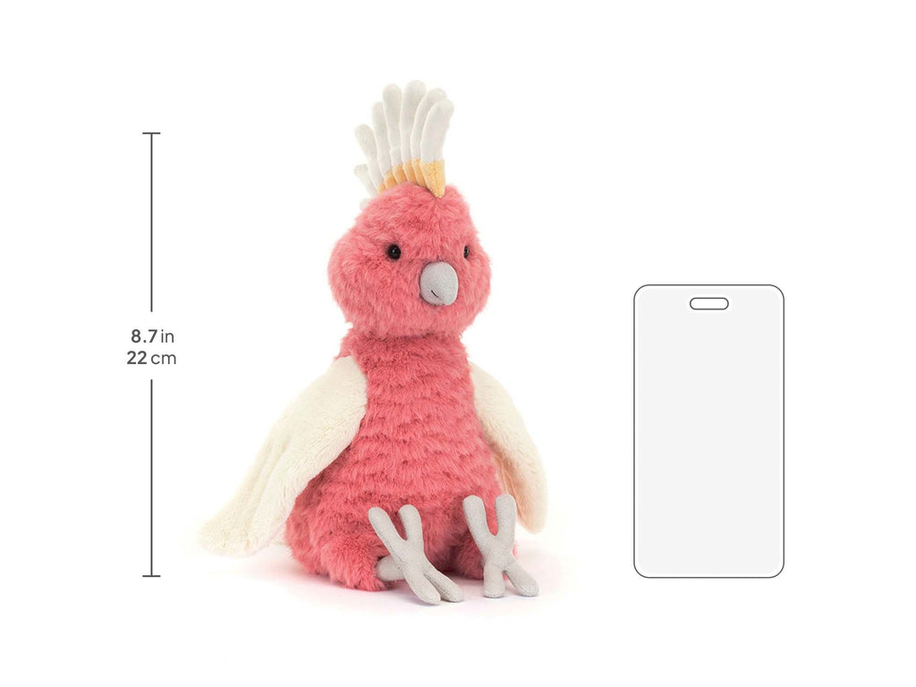 Squawkatoo size chart