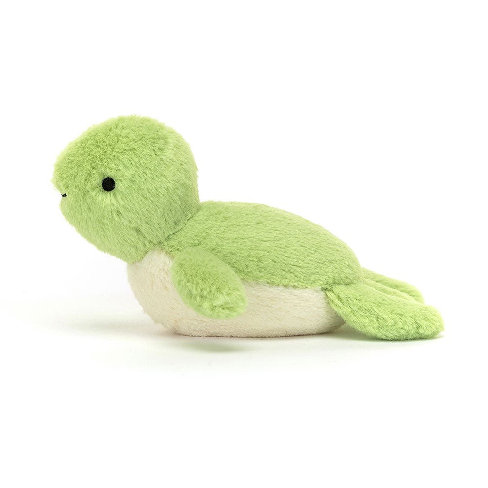 Fluffy Turtle, View 2
