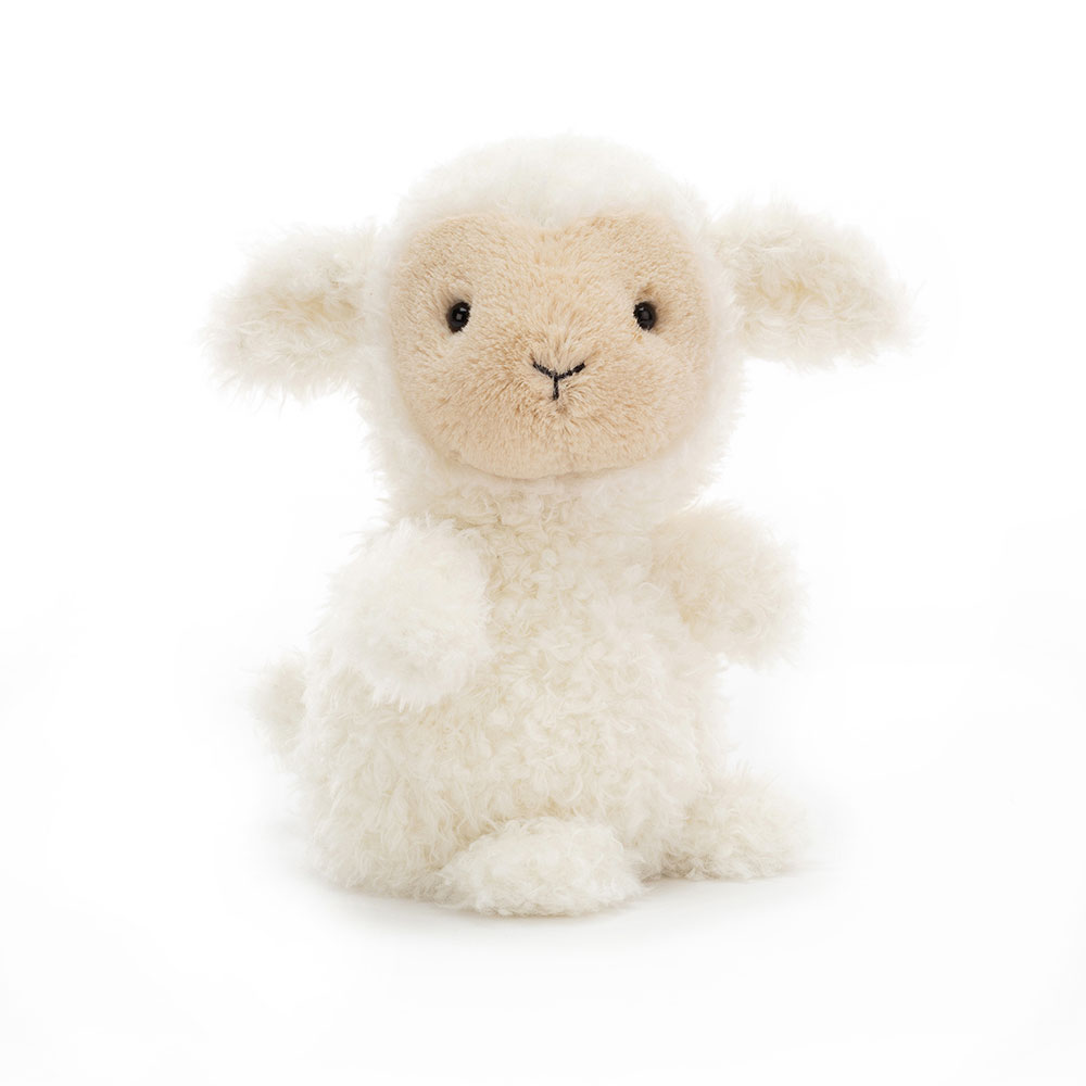 Little Lamb, Main View