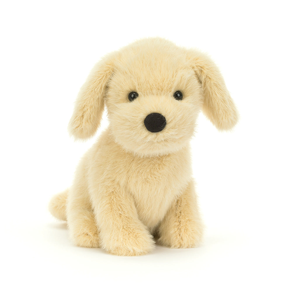 Golden Puppy, Main View